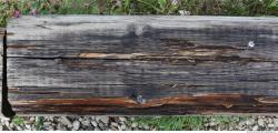 Decayed Wood